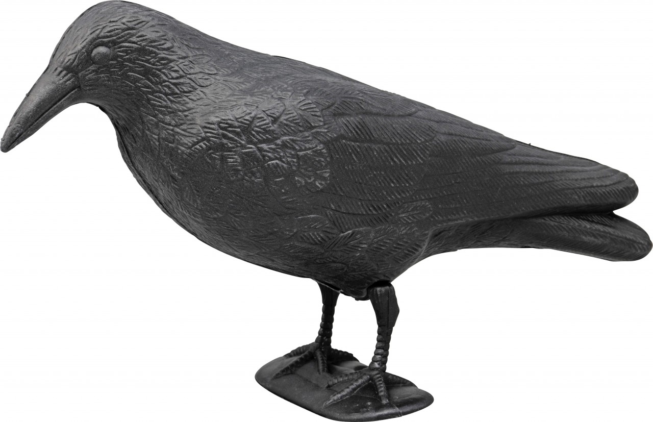 Plastic crow for bird fright