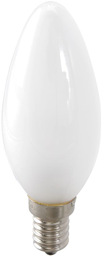 Bulb E14 candle-shaped 24 v